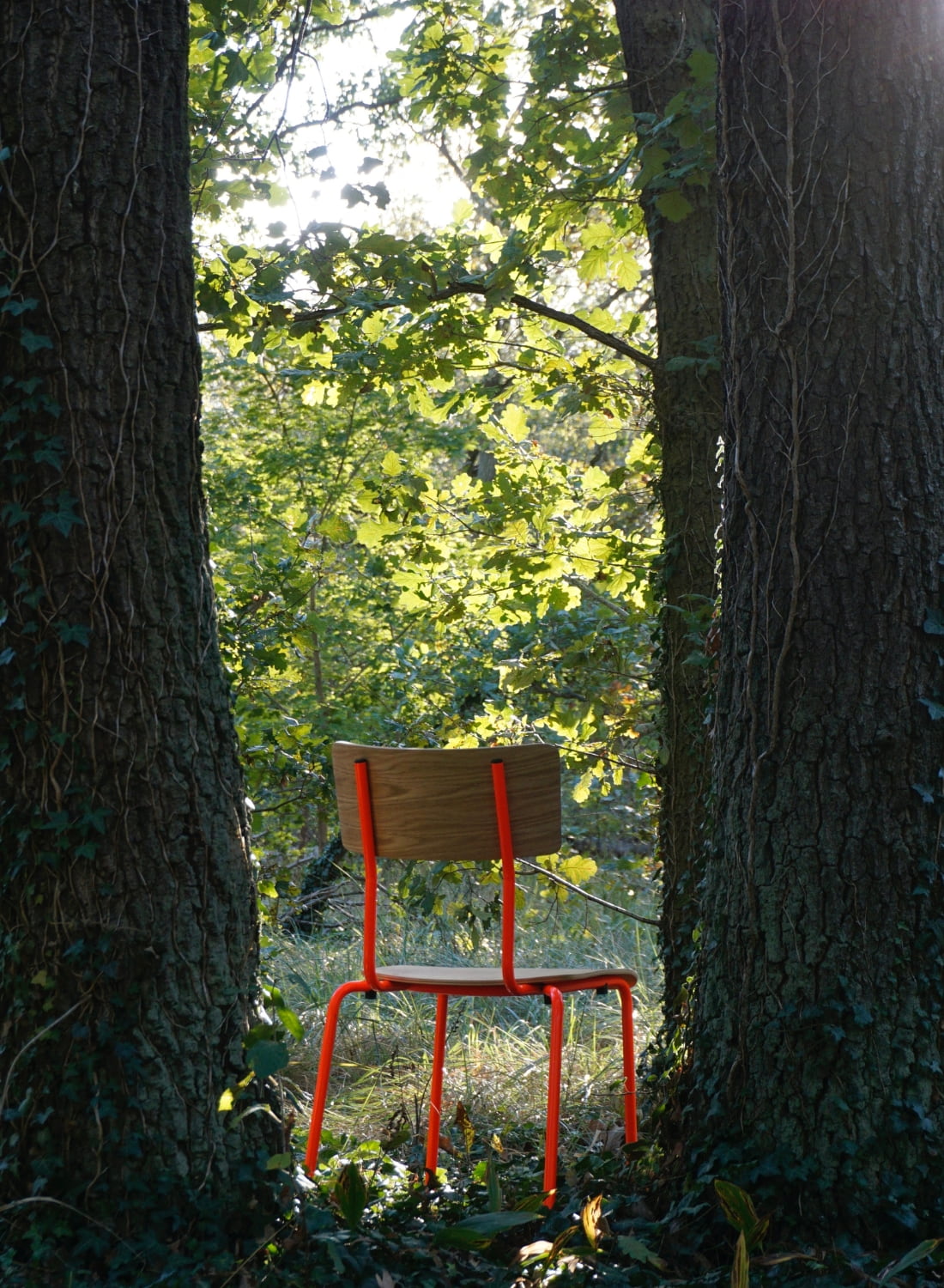 B01 Design-Holzstuhl von Bensberger mit Sitzfläche und Rückenlehne aus Eichenholz sowie farbig pulverbeschichtetem Stahlrohrgestell neon in natürlicher Waldlandschaft.